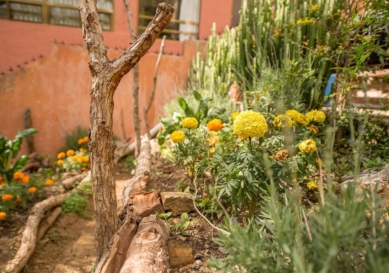 Casa Estrella De La Valenciana Hotel Boutique Guanajuato Exteriör bild